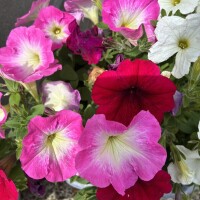 おはようございます😊