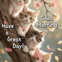 おはようございます