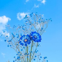 おはようございます