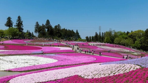 お疲れ様です☕️