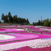 お疲れ様です☕️