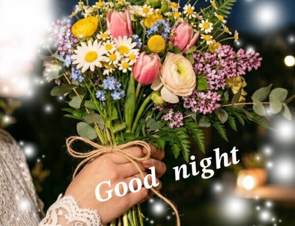 𝑮𝒐𝒐𝒅 𝒏𝒊𝒈𝒉𝒕