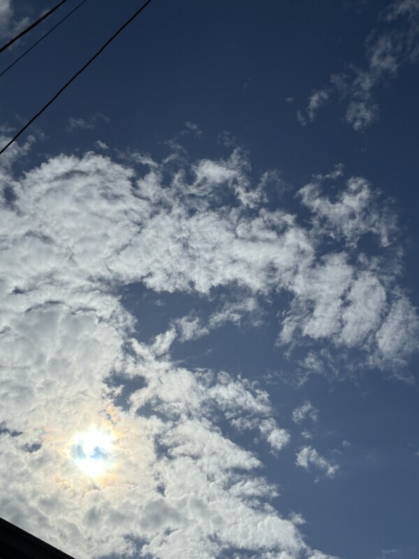 おはようございます🌷