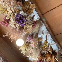 おはようございます🌞