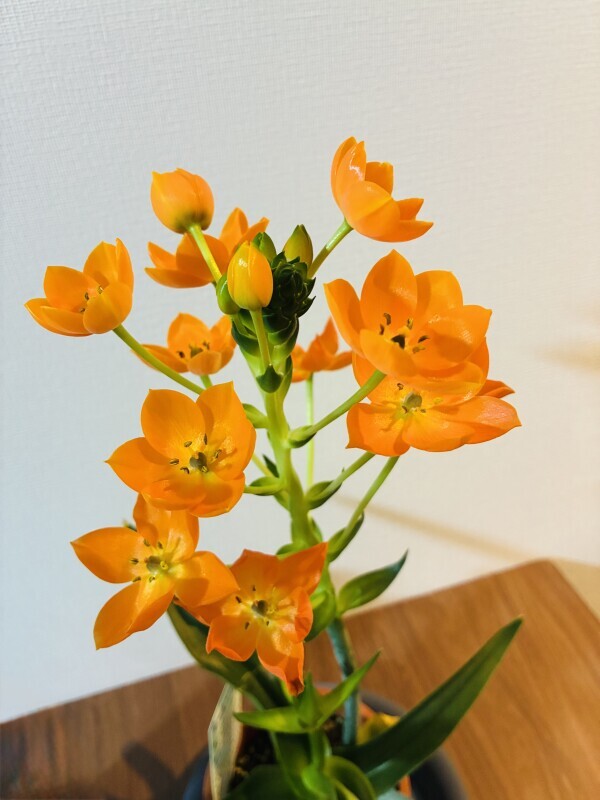 おはようございます♡