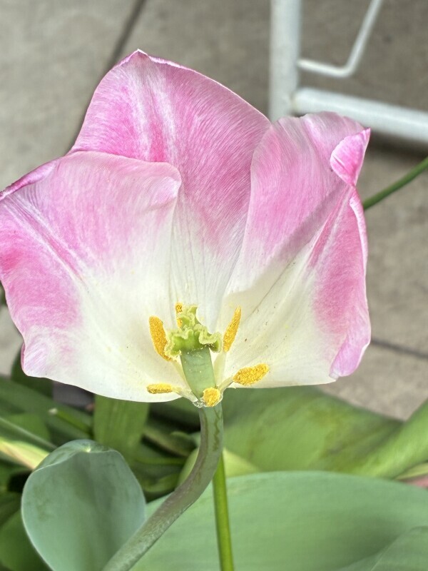 おはようございます⭐️