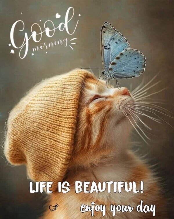 おはようございます