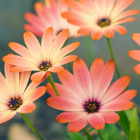 おはようございます☀