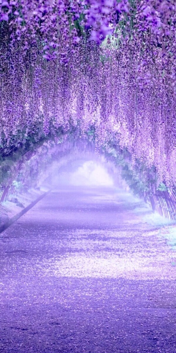 おはようございます