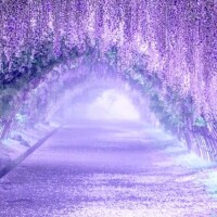 おはようございます