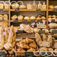 お散歩🐾‪𓏸𓈒(ง ˙˘˙ )ว