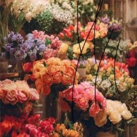 本日もありがとうございました