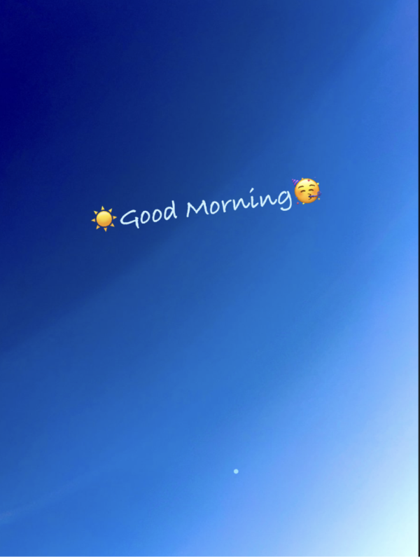 おはようございます☀️