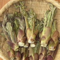 汗ばむ。。( *¯ㅿ¯*)☀️