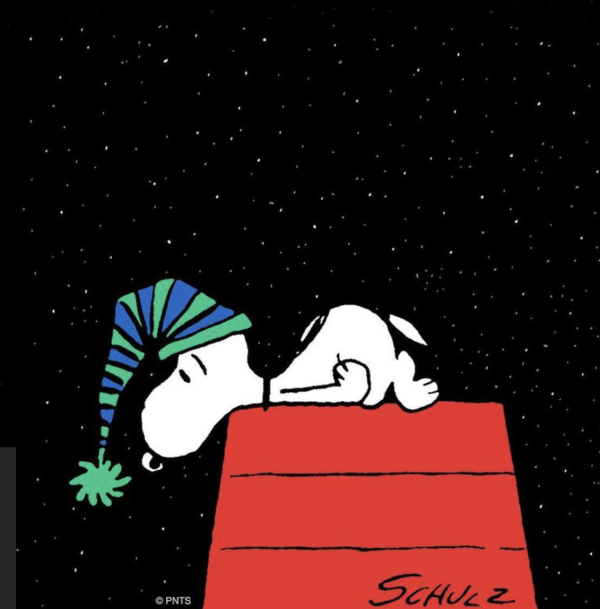 こんばんは🌙