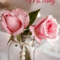 おはようございます