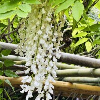 おはようございます✨