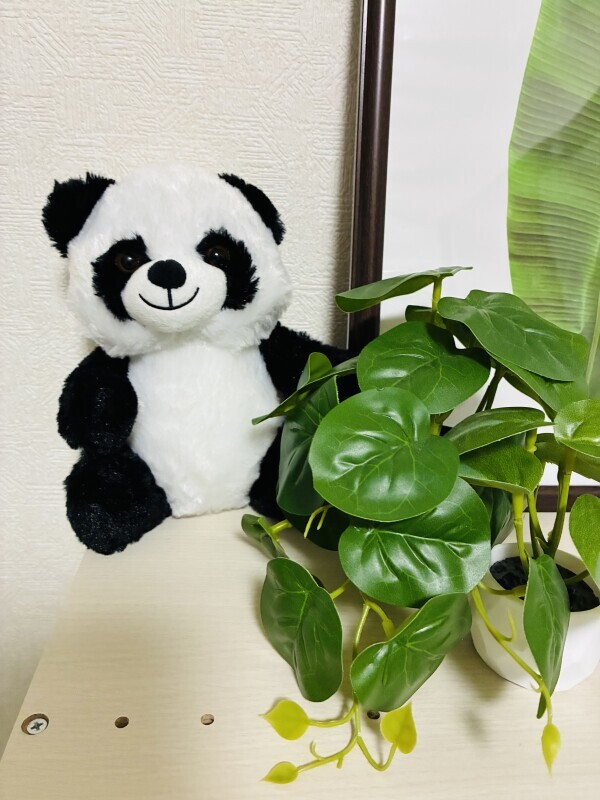 こんにちは☺️