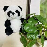 こんにちは☺️