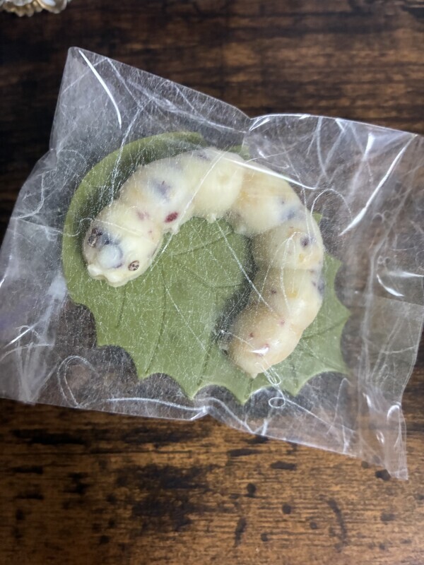 おはよう