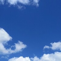 おはようございます