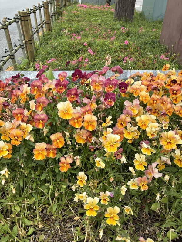 こんにちは😄