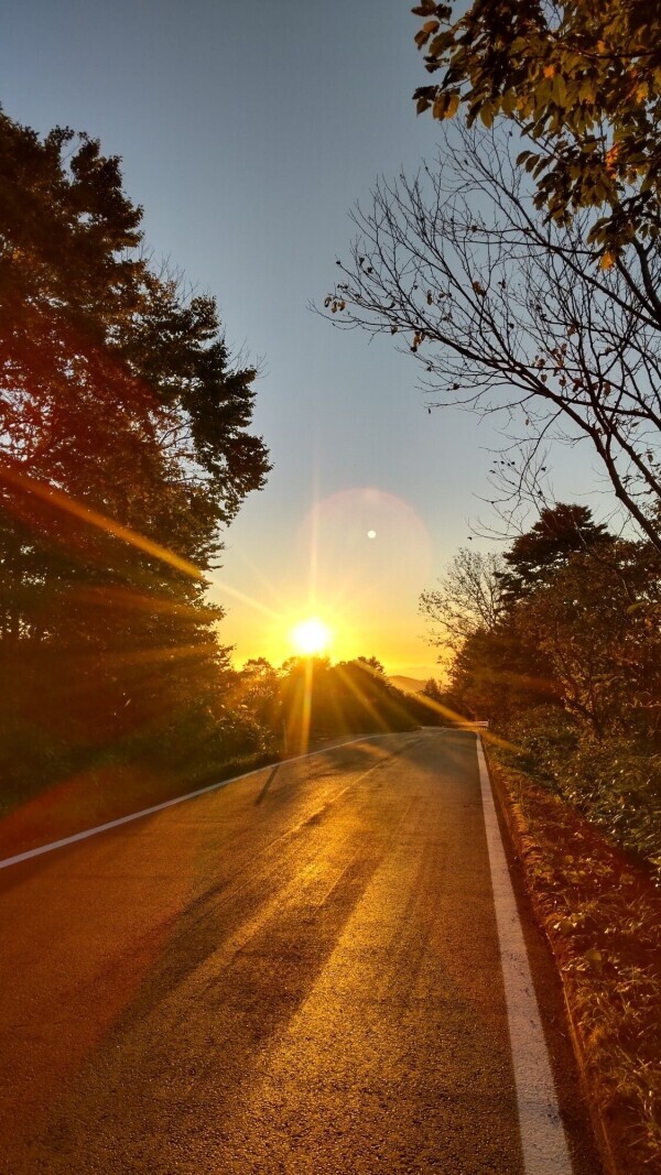 本日もありがとうございました