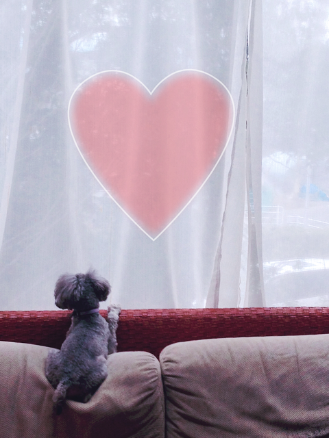 お迎え準備が整いました♡☺️