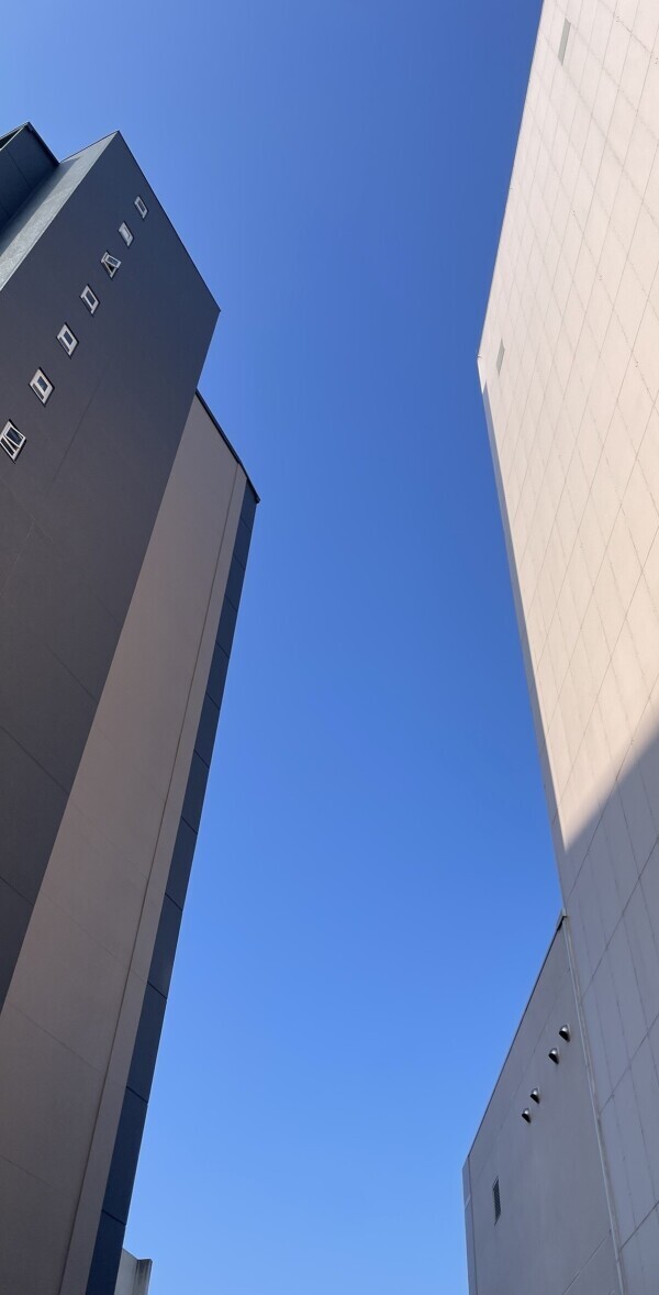 おはようございます☀