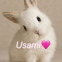 おはようございます☀
