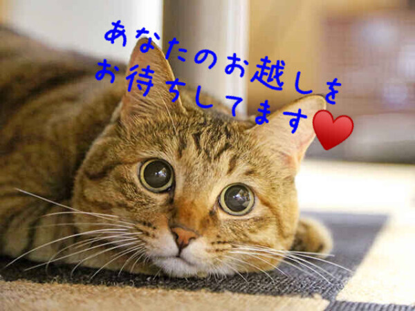 Instagram✨️