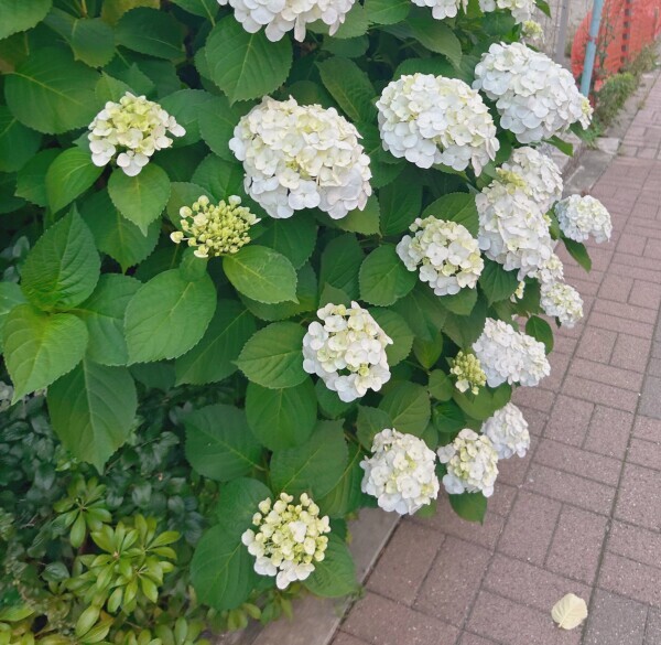 気づいたら…✨️