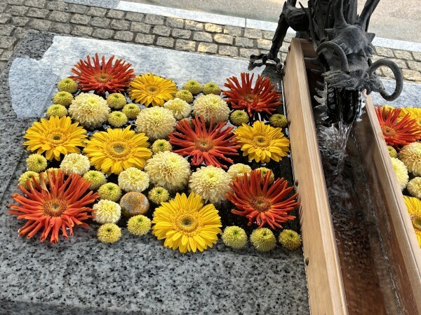 花手水⭐︎