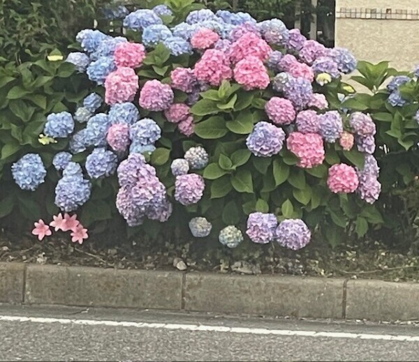 大好き〜😍