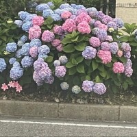 大好き〜😍