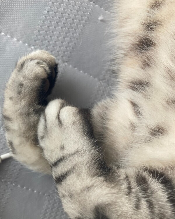 おはようございます