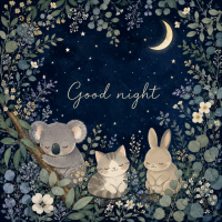 🫧🌙🫧