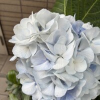 おはようございます💕