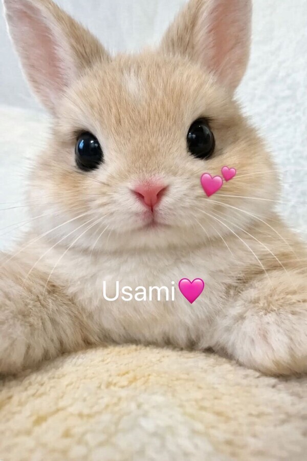 おはようございます☀