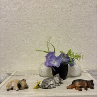 おはよう