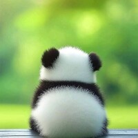 本日もありがとうございました