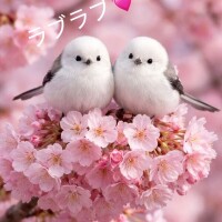 おはようございます☀️