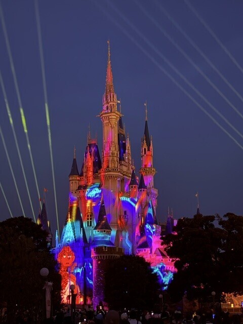 夢と魔法の時間🏰