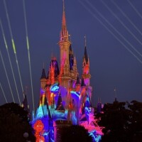 夢と魔法の時間🏰