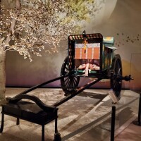 新年明けましておめでとうございます☆☆☆