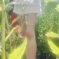 緑に癒されて?