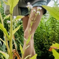 あなたと私の秘密の場所
