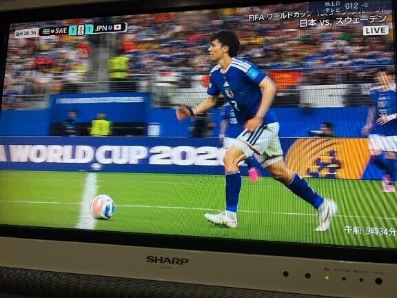 観てる??