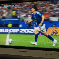 観てる??