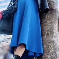 言い訳